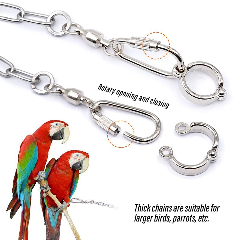Vogel Papagei Fußkette Edelstahl Knöchel Fußring Ständer Kette Outdoor Flugtraining Star Stare Taube Vogel Zubehör