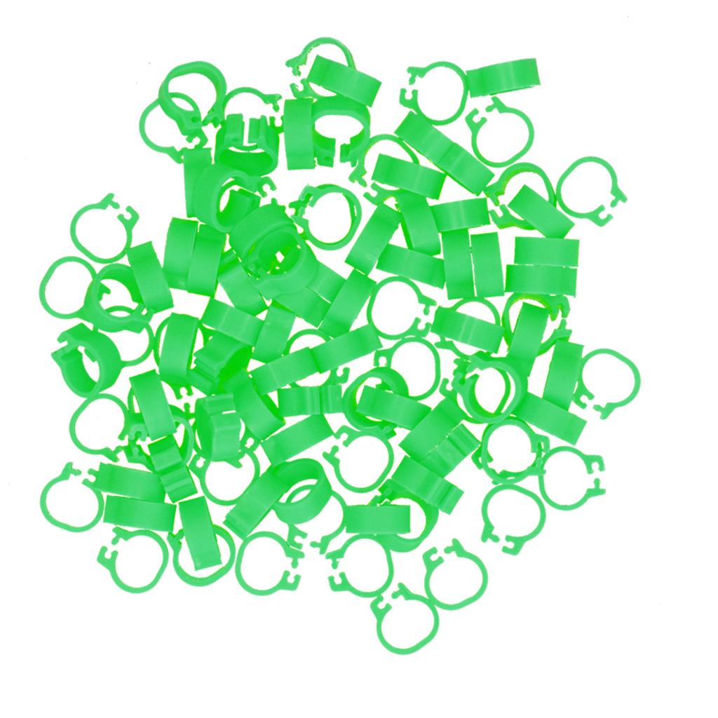 100PCS 8mm Pigeons Identification Leg Rings Poultry Leg Bands No Words Pigeons Supplies