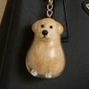 Clear Pet Hair Memorial Keychain Keepsakes For Dog Lover Furs Collector Box Jewelry Honored Beloveds Pet Bag Charm Gift