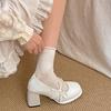 Fashion Temperament French Small Thick Heel High Heels Women's 2025 New Spring and Autumn with Skirt Mary Jane Small Leather Shoes