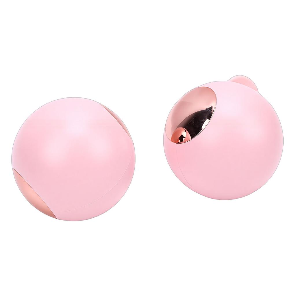 2pcs Portable Lint Roller Washable Reusable Lint Roller Ball for Clothes Sofa Hair Pet Fur Pink Gold