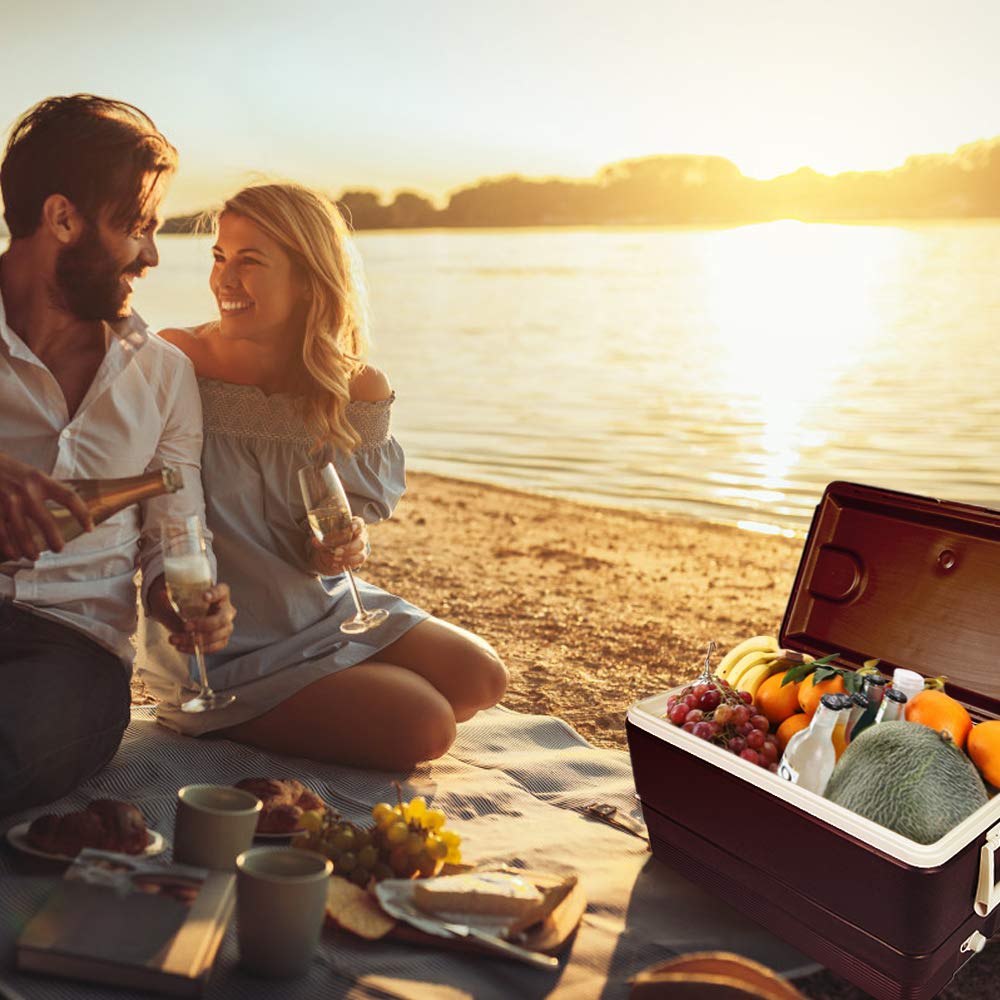 Radezon Edelstahl Kühlbox Scharnier Ersatz für Igloo Stil Eisbox 316 Edelstahl Kühlbox (2 Scharniere)