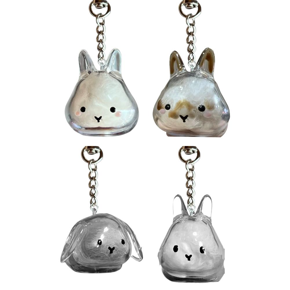 Clear Rabbit Hair Storage Keychain Puppy Hair Storage Capsule Pet's Fur Container Box Dog Cat Hanging Pendant Souvenirs