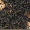Chao Zhou Feng Huang Dan Cong Cha Oolong Tea. Variety Ya Shi Xiang 250g