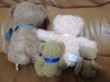 [USED] 4 Teddy Bears