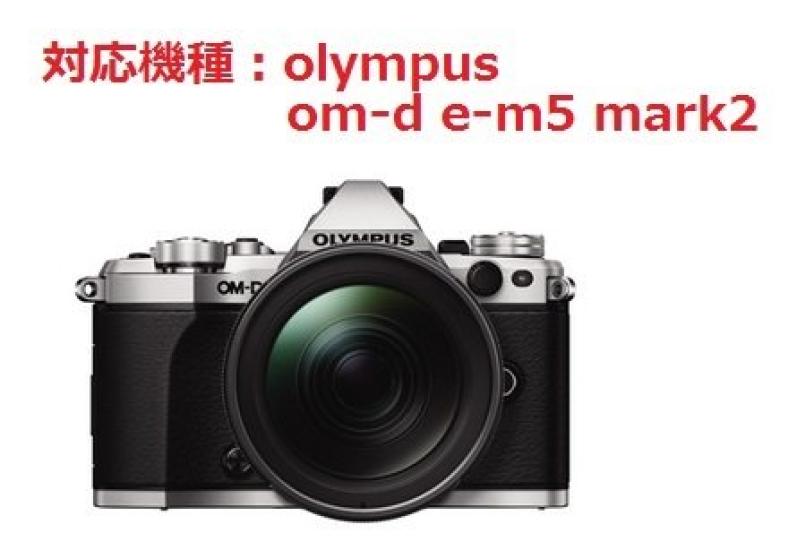 Washodo Olympus mark2 câmera digital adesivo de proteção de tela LCD om-d e-m5 "503-0029L"