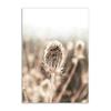 Dried Grass Wall Art Print Nordic Posters Highland Elk Canvas Painting Landscape Dandelion DecorationPictures for Home Room Art