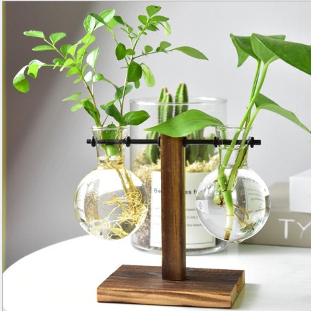 Glass Terrarium Planter Bulb Vase with Retro Solid Wooden Stand Plant Propagation Tubes Hydroponics Vase for Home Garden Decor