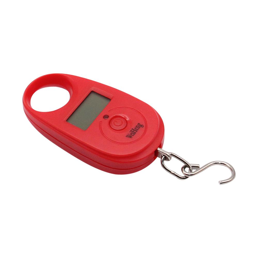 25kg x 5g Portable Hanging Scale Mini Digital Scale for Fishing Luggage Travel Weighting Keychain Electronic Scale with Hook