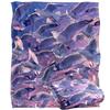 Royce McClure Evening Seagulls Silky Supersoft Blanket