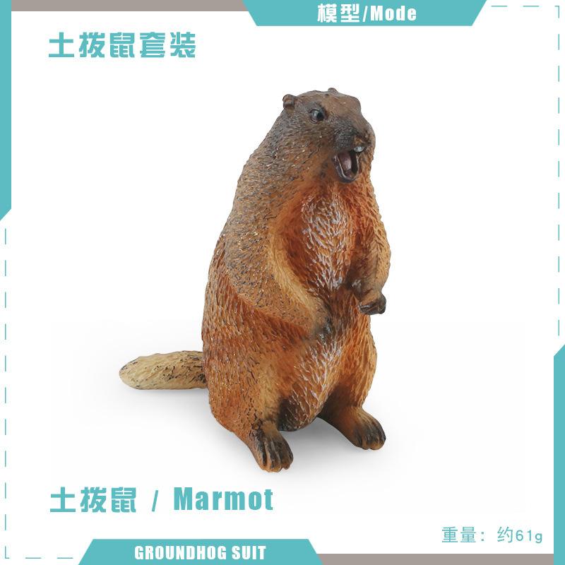 Children'S Solid Simulation Forest Animal World Groundhog Model Mouse Chipmunk Squirrel Solid Ornament Toy