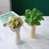 Ceramic Vase Nordic Home Decor Minimalist Flower Vase for Living Room Tabletop Creative Dried Flower Arrangement