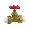 Emiko PPR Hot/Cold Water Gate Valve with Copper Core - 25 Pipe 7650