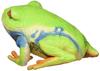 Latex Model of a Red-eyed Tree Frog