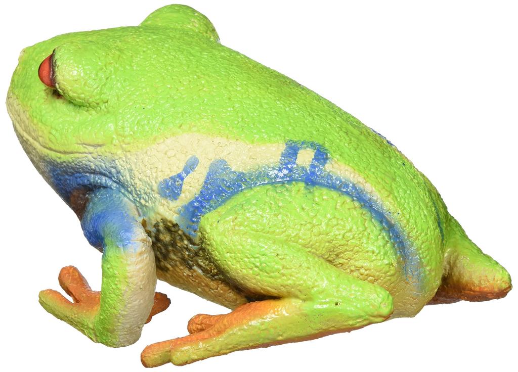 Latex Model of a Red-eyed Tree Frog
