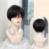 Ashely Short Wig for Men Fluffy Natural Black Hair High Temperature Fiber Synthetic Wigs Suitable for Daily Use Cosplay Sissy