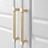 Zinc Alloy Cabinet Pull Double-colors Drawers Pull  for Cupboard Dresser Closet