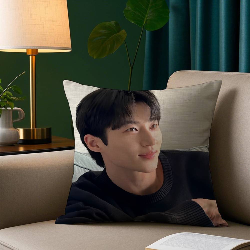 

Корея Б-Бён У-со Наволочка Плюшевая ткань Мягкая наволочка Двусторонняя печать Чехол на подушку для дивана Накидка 12x12Inch