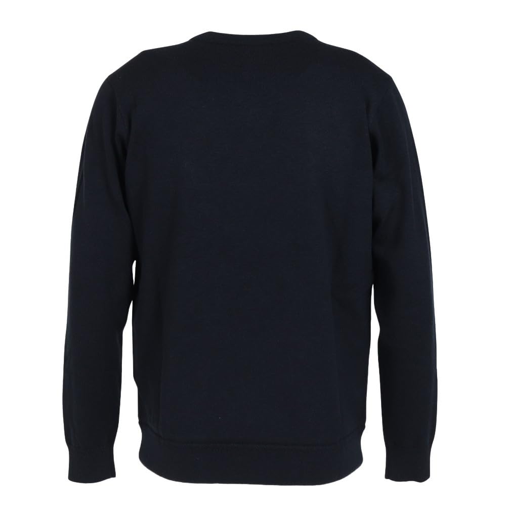 Bridgestone Golf Long Sleeve Windproof V-Neck Sweater DGM02B