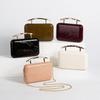 Luxury Designer Women's Clutch Evening Bag Gold Metal Closure Vintage Box with Chain Strap Shoulder Special Occasions