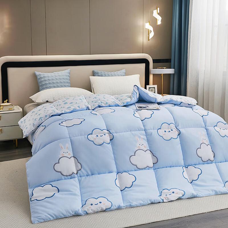 Donnafou Cloud Goose Down Duvet