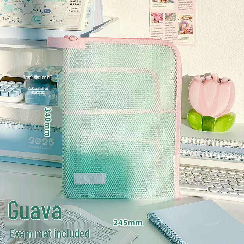 Dopamine Transparent A4 Document Organizer - Multi-layer Mesh Zipper Bag for Student Paper Storage