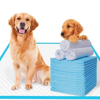 Köpek Eğitim Çiş Pedleri Evcil Hayvan Bezi Süper Emici Tek Kullanımlık Sağlıklı Bebek Bezi Mat Kediler için Küçük Köpekler Bezi Kafes Mat Pet Malzemeleri