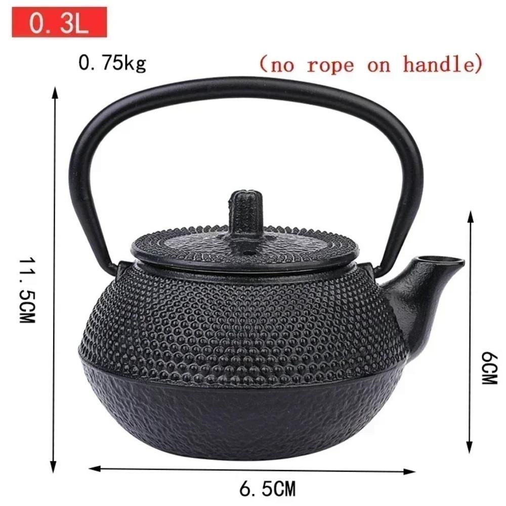 Japanese Cast Iron Tea Teapot Outdoor Kettle with Filter Boiling Water Teapot Kettle for Oolong Kung Fu Puer Tea Kitchen Teaware