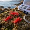 3 Inch Soft Fishing Lures High Density Salted Multi-Legged Bug Style Bait 4 Pack Suitable for Competitive Water Spider Imitation