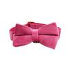 Rose Velvet Pet Collar Dog Collar Chest Back Leash Dog Chain Dog Chest Bow