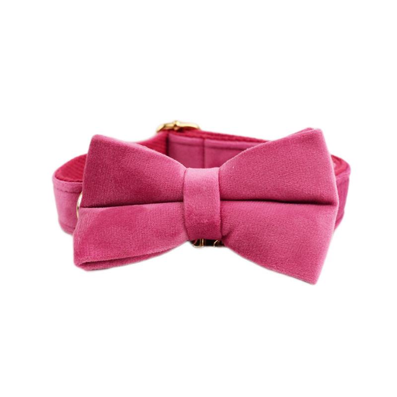 Rose Velvet Pet Collar Dog Collar Chest Back Leash Dog Chain Dog Chest Bow