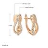 Luxury Geometry  Rose Gold Color Drop Earrings For Woman Fashion Natural Zircon Accessories Daily Vintage Jewelry
