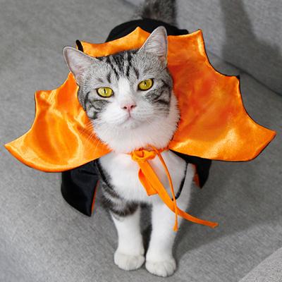 Halloween Haustierumhang Verstellbarer Hunde Katze Fledermausflügel Umhang Kostüm Gruselige Halloween Party Cosplay Kätzchen Welpen Outfit Bekleidung Haustierbedarf