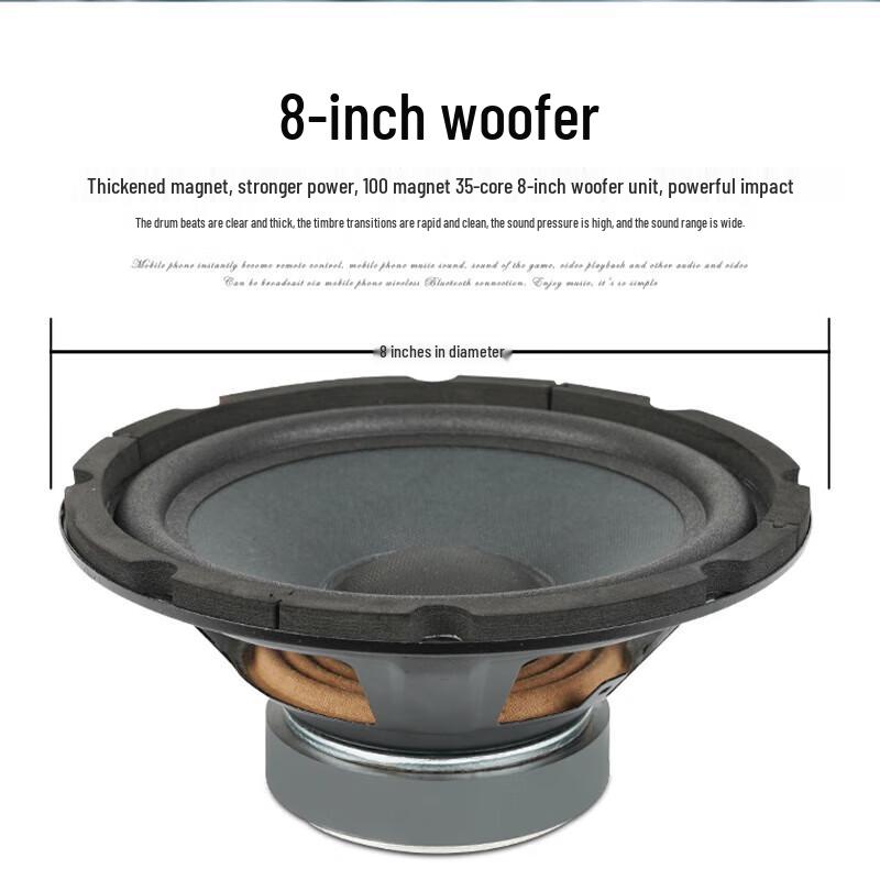 SHILE Professional Meeting Room Sound System