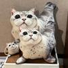 12/32cm New Simulation of Seal Cat Plush Toy Ocean Doll Cute Cat Toy Cartoon Lifelike Kitten Dolls Girls Birthday Gift Kids Toys
