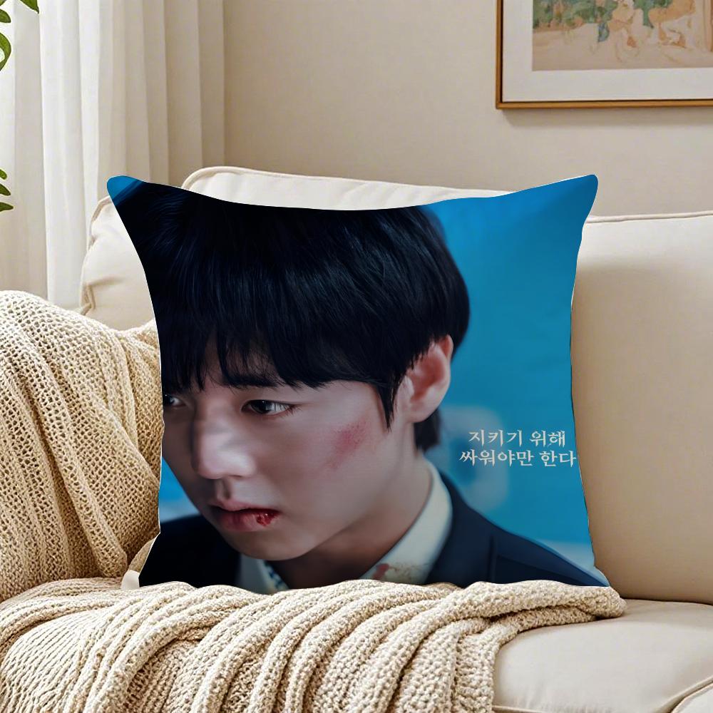 Webtoon Gritty 1 WWeak HHero Class 1 Cushion Cover Pillowcase Antidustmite living Room Sofa Decor Cushion Room