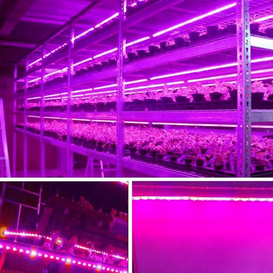 5V USB Led Full Spectrum Plant Grow Light Strip 1m/2m/3m Strip for Flower Seedling Grow Greenhouse Hydroponic Plants Lighting
