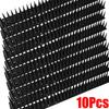 Plastic Anti Bird Spikes Pigeon Deterrent Cat Repellent Pest Control Humane Outdoor Roof Fence Ledge Guard Garden Protection