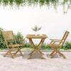 VidaXL Lot de 2 Chaises Pliables de Jardin, Sièges avec Dossier, Meubles de Patio Terrasse Extérieur, Moderne, Bois Massif 365737