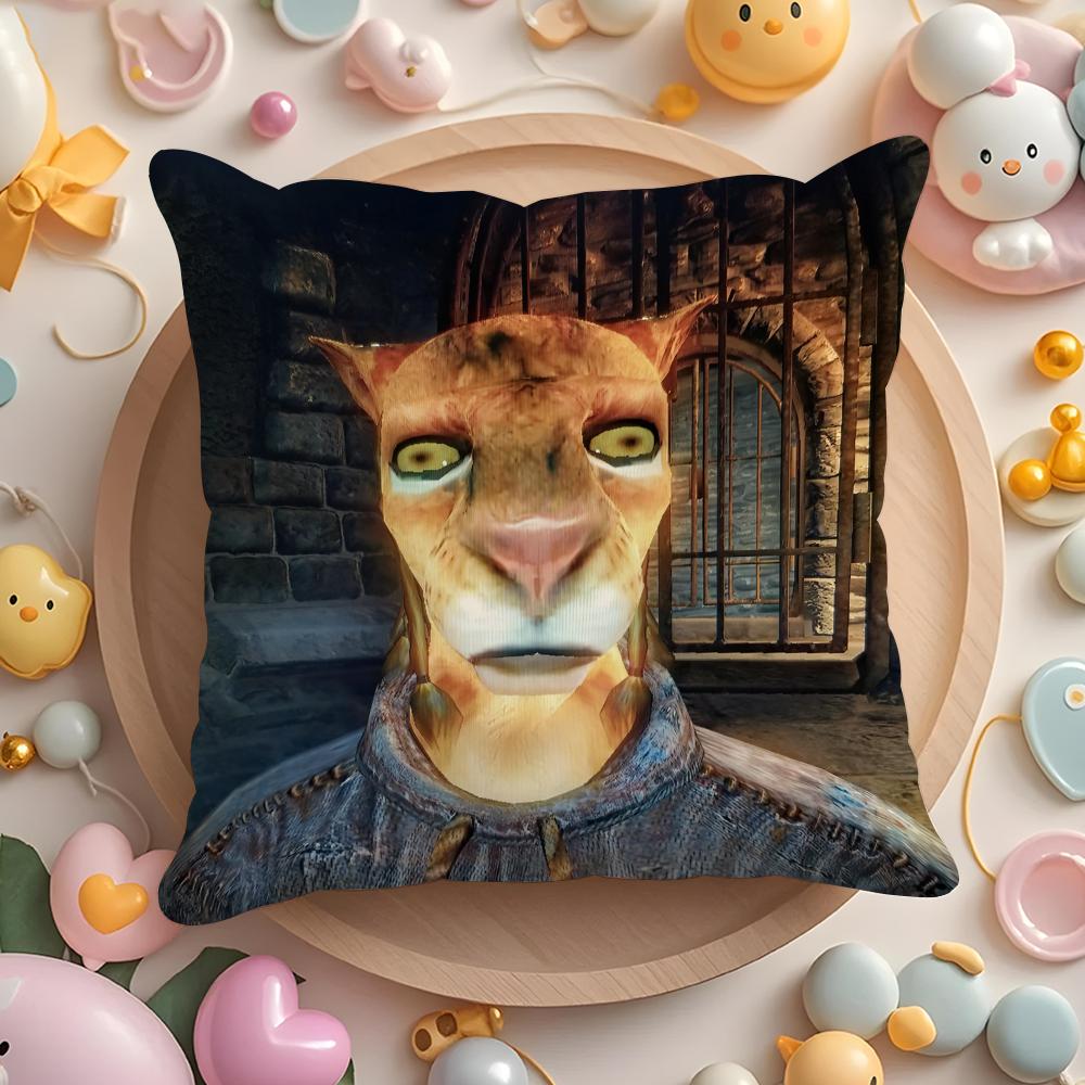 Hey Du Du Bist Endlich Wach SSkyrim Meme Kissenbezug Plüschstoff Weich Zweiseitig Bedruckt Sofa Warmes Zuhause Kissenbezug