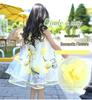 2025 New Summer Girls' Sleeveless Floral Chiffon Beach Dress for Toddlers & Kids