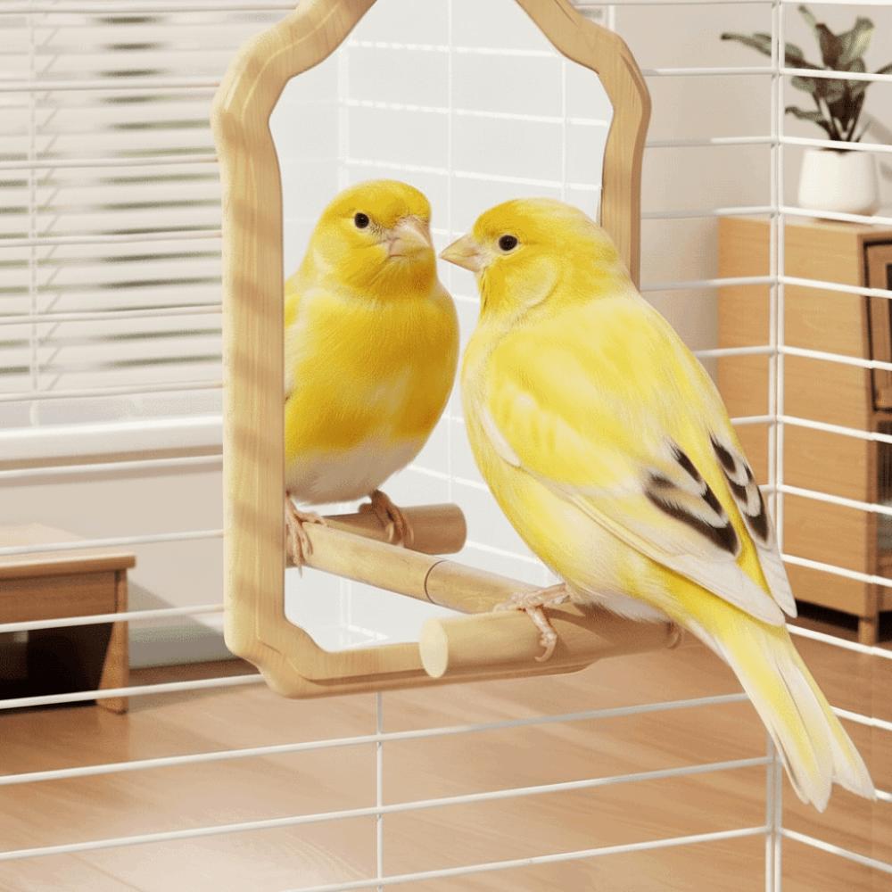 Wear-Resisting Bird Mirror Perch Bite-Resistance Parrot Platform Stand Parrot Mirror Toy Playing