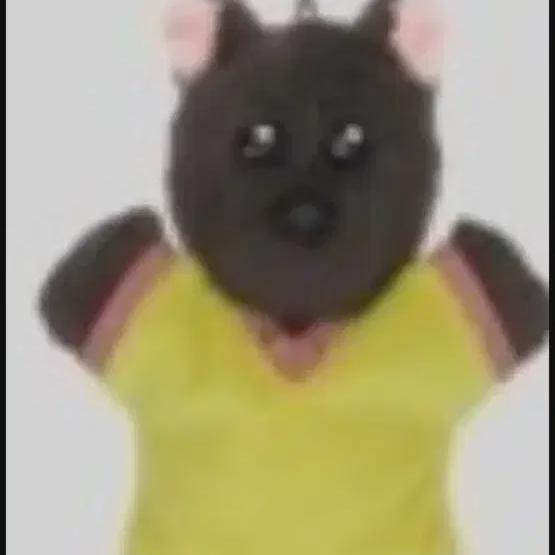 

Как зовут куклу Boneck And Pnekdo Boynexdoor Myung Jae-hyeon