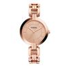 Relógio de pulso Fossil feminino analógico de aço inoxidável BQ3206