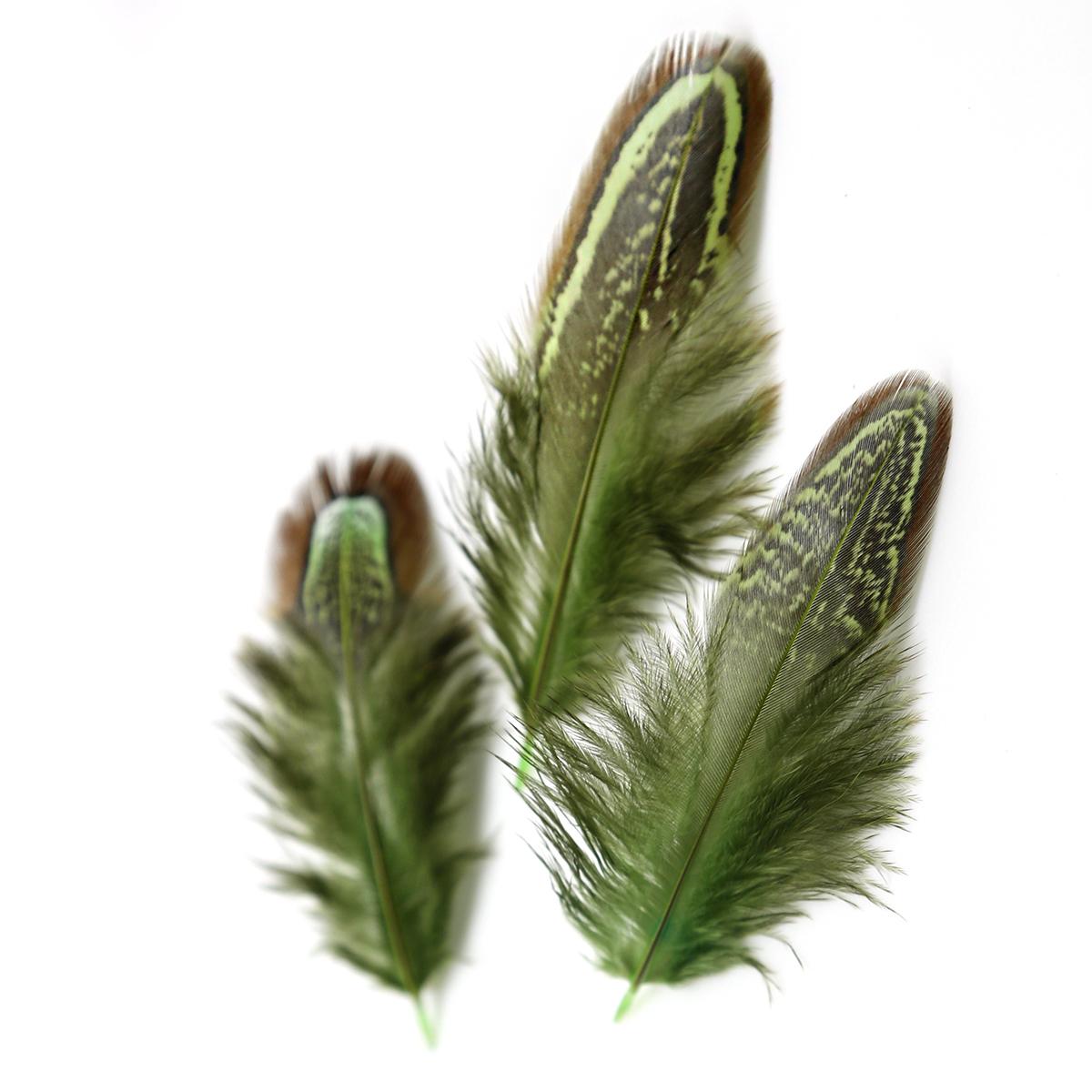 

50 шт. 4-8 см. Рідкісні дорогоцінні DIY весільні декоративні різнокольорові пір’я фазана. Натуральне пір’я для прикраси дому оливковий