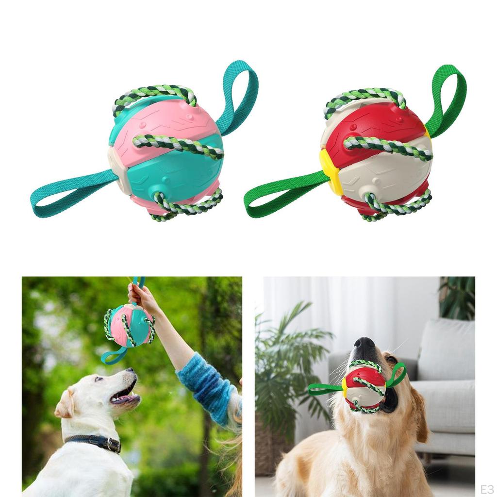 Dog Soccer Ball Toy for Active Puppy Training and