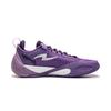 Li Ning Odpružené Odolné proti oděru Nízké Basketbalové boty Pánské Zirkonová fialová ABAW011-11