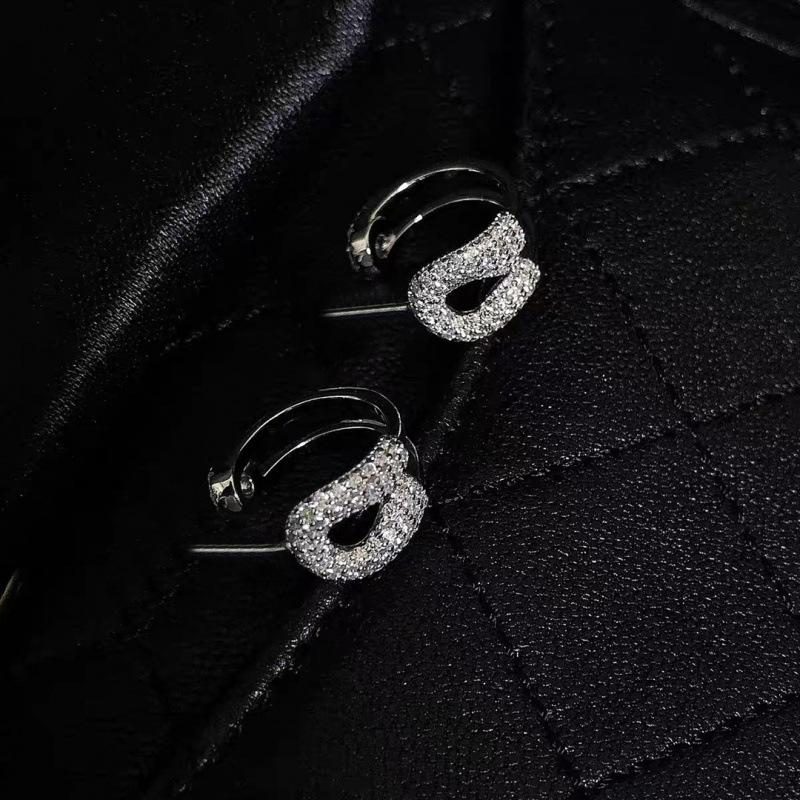 Korean Elegant Brooch Earrings - Light Luxury Niche Fashion for Women
