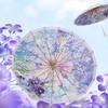 Accessori – Ombrelli