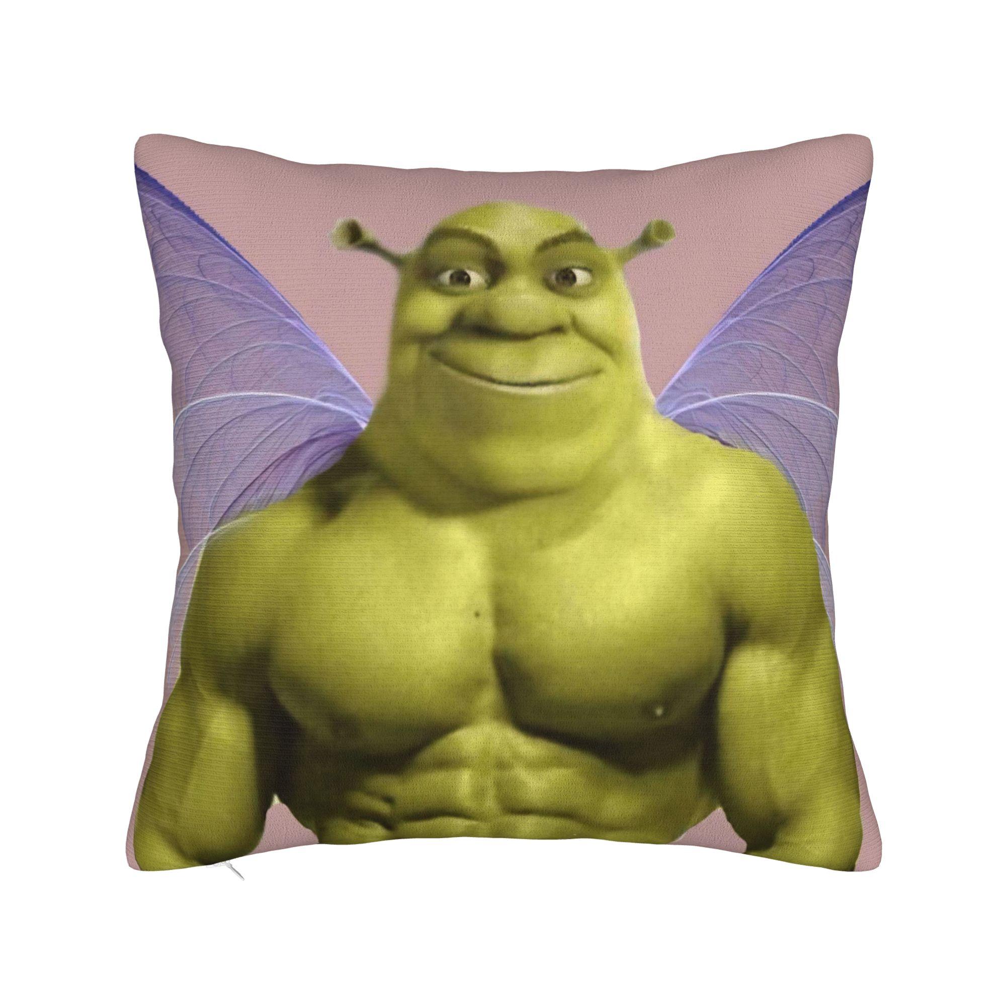 

Наволочки з жартами Шрека Модна наволочка для офісу, автомобіля, дому Декор Наволочка з принтом 20x20Inch